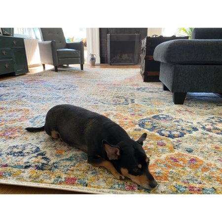 Customer image 1049