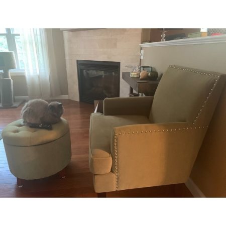 Customer image 5