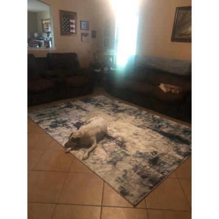 Customer image 461