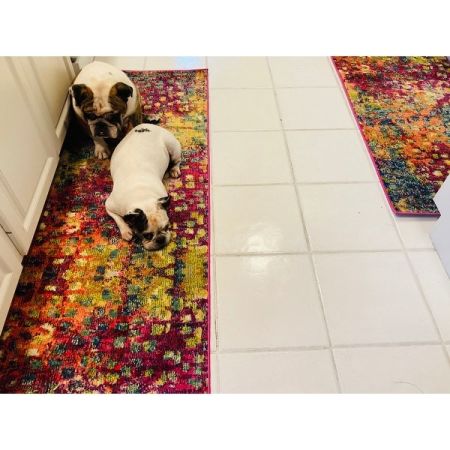 Customer image 173