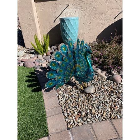 Customer image 16