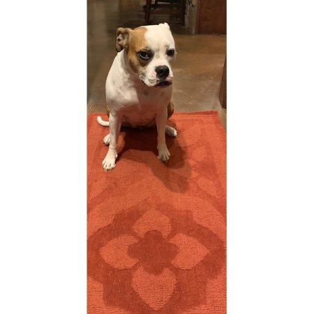 Customer image 1