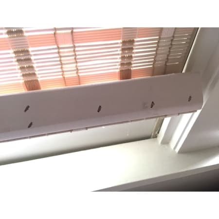 Customer image 172