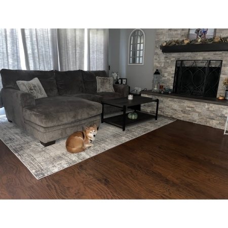 Customer image 42