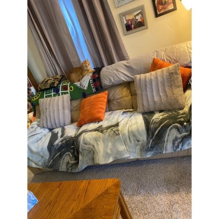 Customer image 49