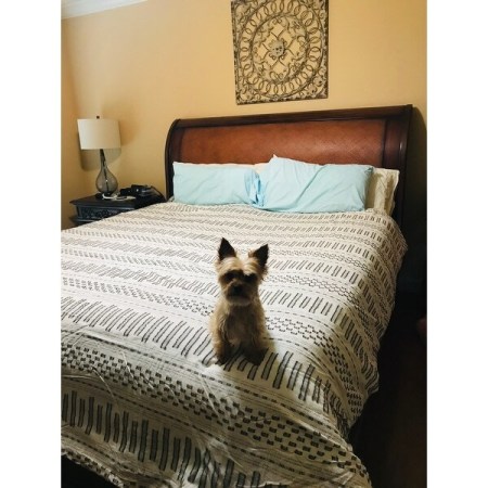 Customer image 39