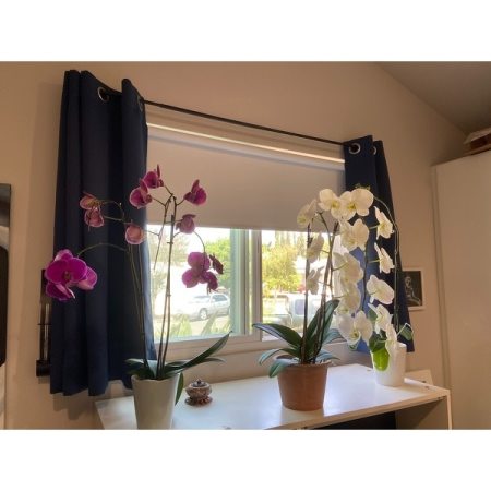 Customer image 14