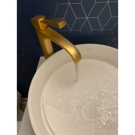 Customer image 8
