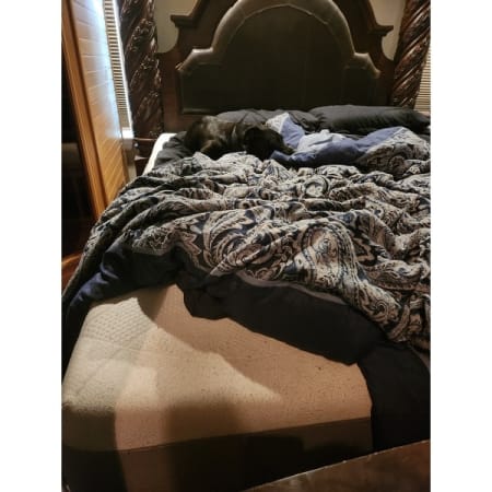 Customer image 21