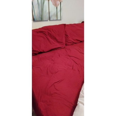 Customer image 12
