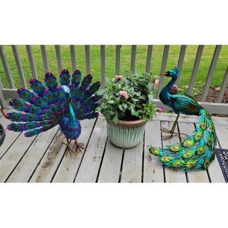 Customer image 21