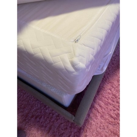 Customer image 50
