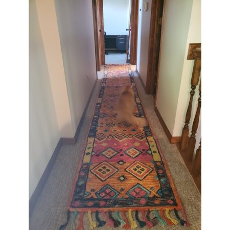 Customer image 43