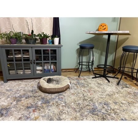 Customer image 66