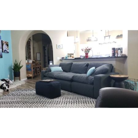 Customer image 290