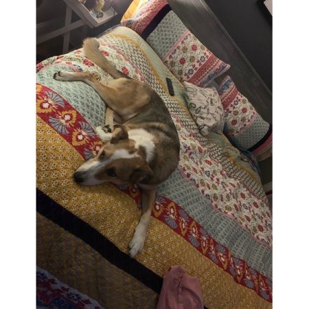 Customer image 37