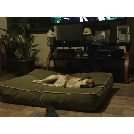 Customer image 7