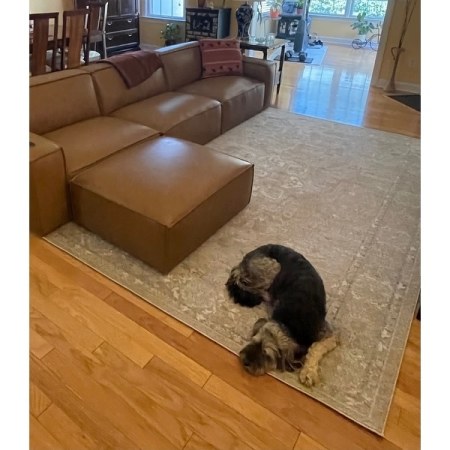 Customer image 2