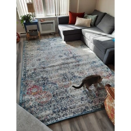 Customer image 377
