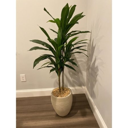 Customer image 73