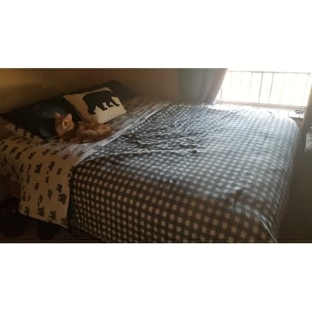 Customer image 71