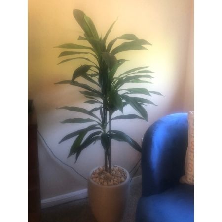 Customer image 5
