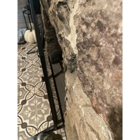 Customer image 2
