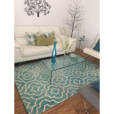 Customer image 17