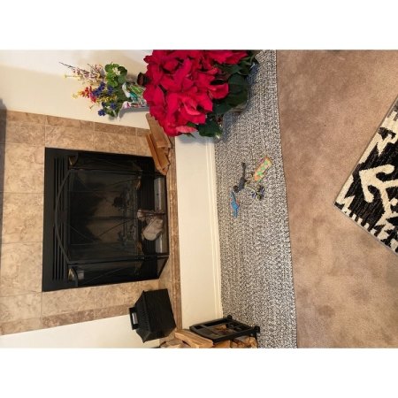 Customer image 739