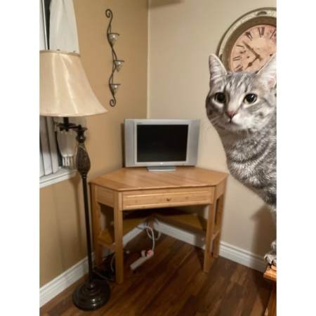 Customer image 5