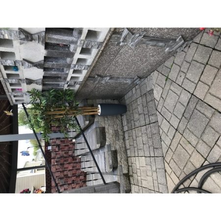 Customer image 19