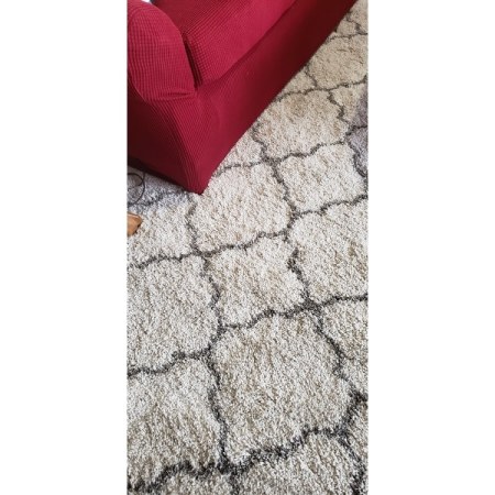 Customer image 47