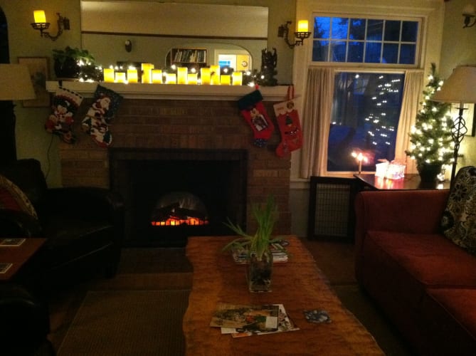 Dimplex 23 Standard Electric Fireplace Insert Log Set Dfi2309
