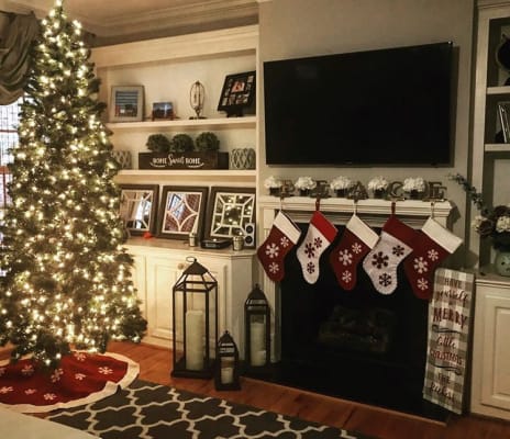 foxtail christmas pine tree treetopia perfect tree
