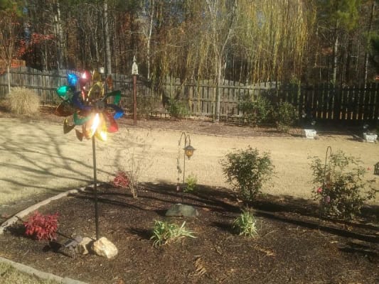 East facing backyard pros cons