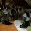 Customer Image Thumbnail, Click to Maximize