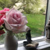 Customer Image #1