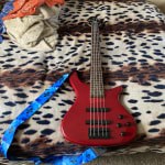 I love that bought this 4&5 String Bass Guitars I'm a pro.