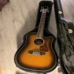 The best 12 string for the price