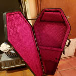 Warlock Guitar fits perfect