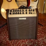 Unbelievably Great and Versatile Amplifier