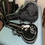 A good case for thinline double or single cut guitars.