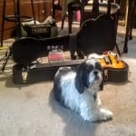 just love my Rogue VB100