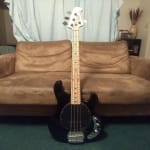 Great Affordable Stingray