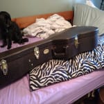 I ended up with a case upgrade!!