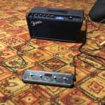 Works with both of my Fender amps!