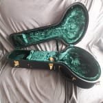 A nice case. but SOME BANJOS may not fit.(photos)