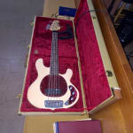 Excellent bass case!