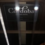 This guitar is incredible!