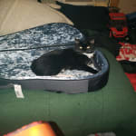 A great buy! Will be buying more!